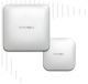 SonicWave 641 Wireless Access Point | met Secure Wireless Network Management and Support 1 jaar